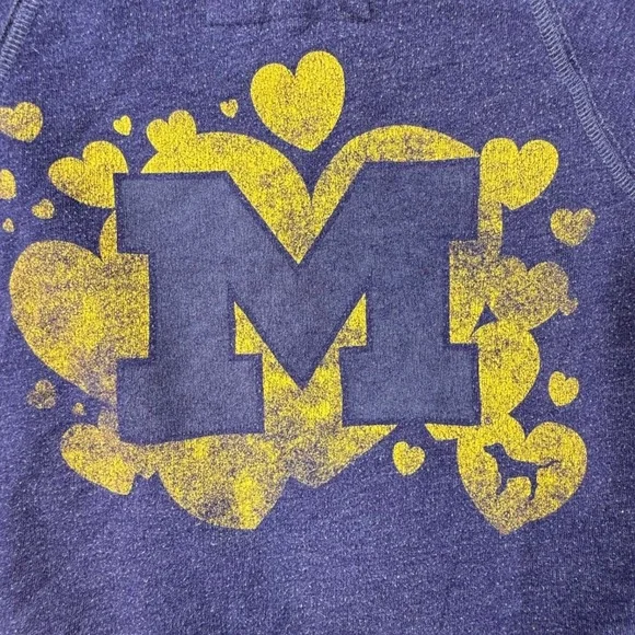 Victoria's Secret PINK Michigan Hoodie distressed Sweatshirt Size Large y2k - Picture 10 of 14